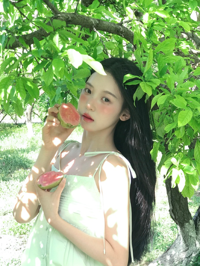 葬送的芙莉莲