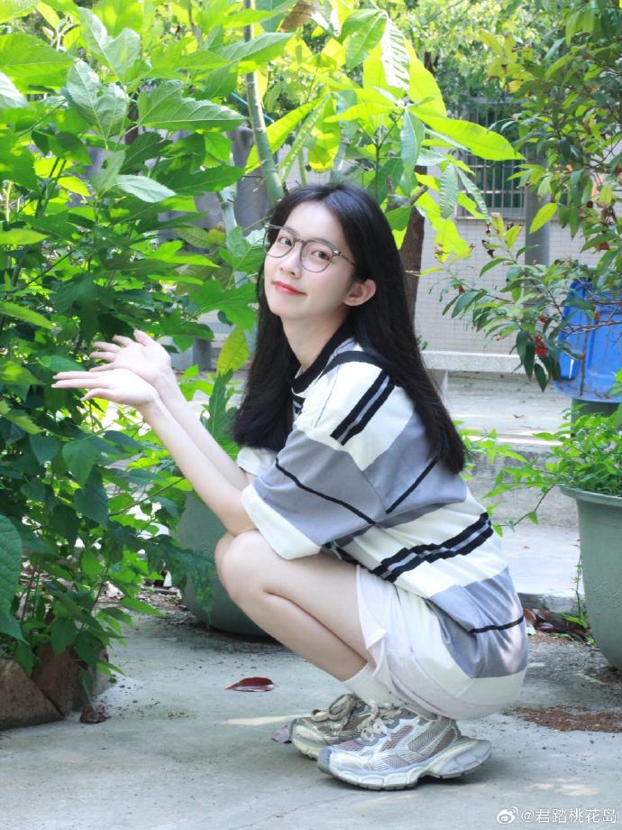 蜘蛛巢城